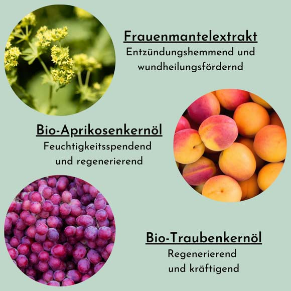 baybies Körperliebe Öl BIO-Inhaltsstoffe Frauenmantelextrakt, Aprikosenkernöl, Traubenkernöl